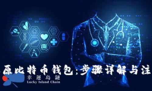 如何还原比特币钱包：步骤详解与注意事项