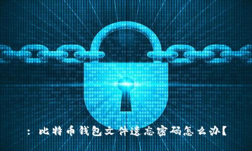 : 比特币钱包文件遗忘密码怎么办？