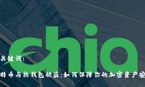 和关键词:

比特币与热钱包被盗：如何保障你的加密资产安全