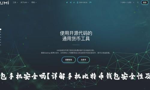 比特币钱包手机安全吗？详解手机比特币钱包安全性及使用技巧
