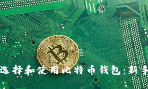如何选择和使用比特币钱包：新手指南