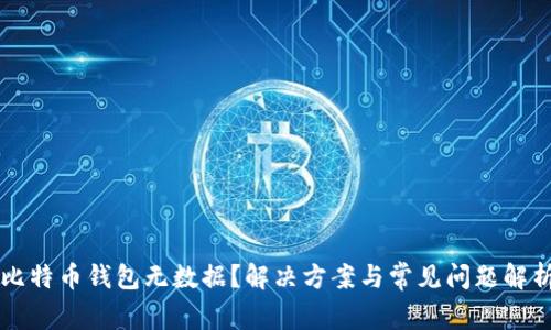 比特币钱包无数据？解决方案与常见问题解析
