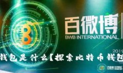 最早的比特币钱包是什么？探索比特币钱包的起