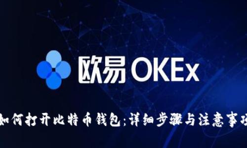 如何打开比特币钱包：详细步骤与注意事项