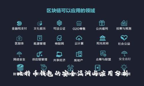 比特币钱包的安全漏洞与应用分析