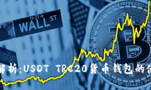 : 完全解析：USDT TRC20货币钱包的使用指南