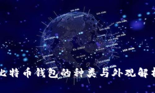 比特币钱包的种类与外观解析
