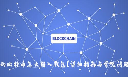 购买的比特币怎么转入钱包？详细指南与常见问题解答
