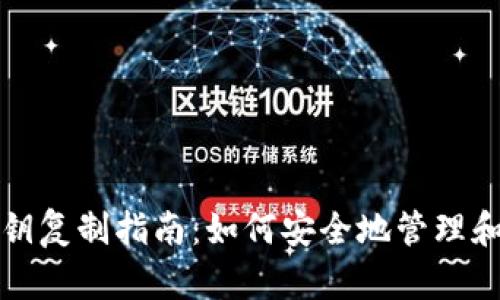 比特币钱包公钥复制指南：如何安全地管理和使用你的公钥