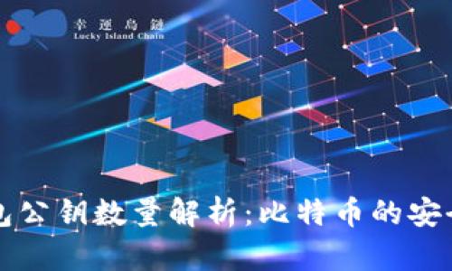 比特币钱包公钥数量解析：比特币的安全性与管理