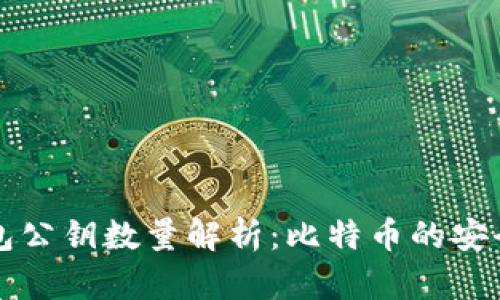 比特币钱包公钥数量解析：比特币的安全性与管理
