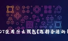 美国USDT使用什么钱包？选择合适的钱包指南