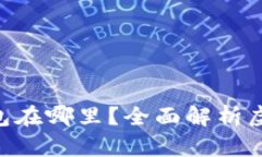 riaoti最大的虚拟币钱包在哪里？全面解析虚拟币