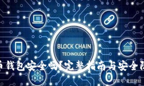 : 虚拟币钱包安全吗？完整指南与安全防护措施