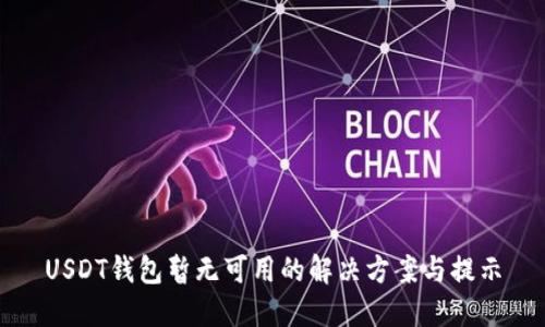 USDT钱包暂无可用的解决方案与提示