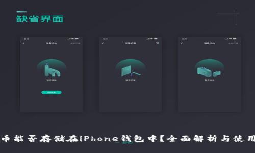 比特币能否存储在iPhone钱包中？全面解析与使用指南