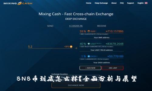 BNB币到底怎么样？全面分析与展望