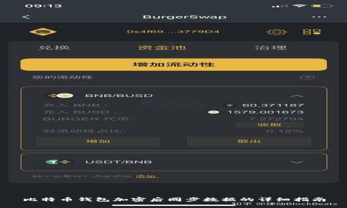 比特币钱包加密后同步数据的详细指南