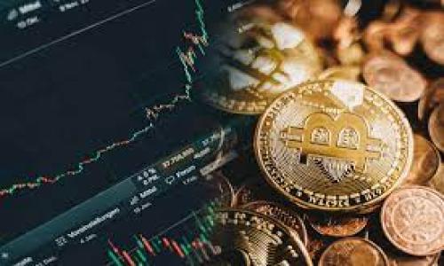 

如何选择和使用比特币钱包：全面指南