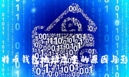 比特币钱包地址改变的原因与影响