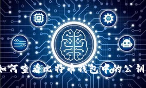 如何查看比特币钱包中的公钥？